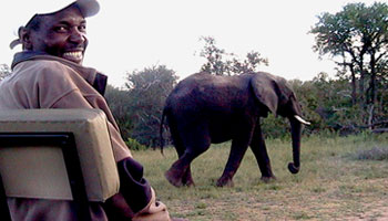 Balule Game Reserve Limpopo South Africa