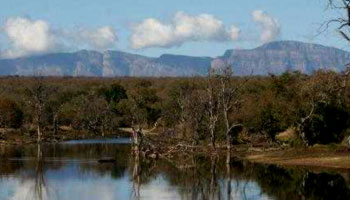 Karongwe Game Reserve Limpopo South Africa