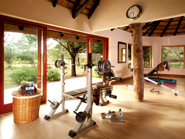 Gym Kings Camp Timbavati Game Reserve Accommodation Booking Hoedspruit Limpopo Mpumalanga Five Star