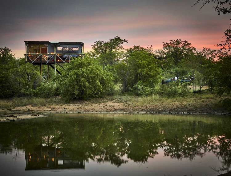 Giraffes Nest - Motswari Game Lodge