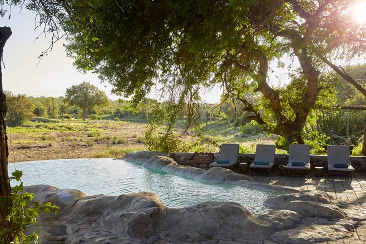 Pool - Motswari Game Lodge