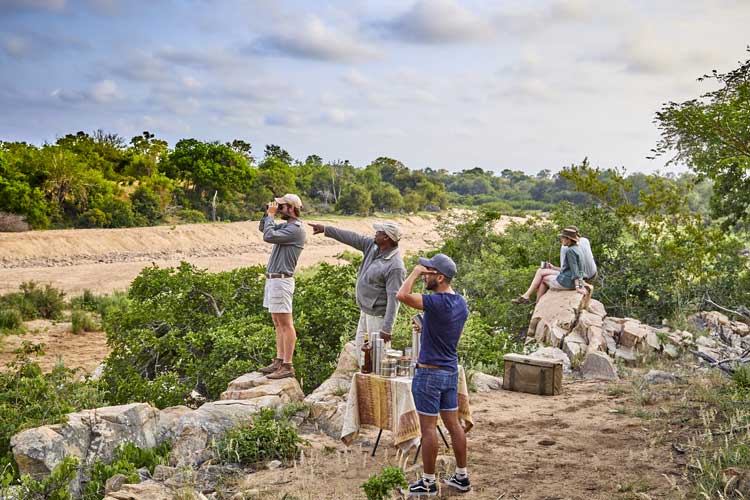 Walking Safari - Geigers Camp