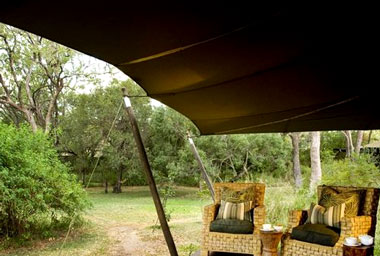 Luxury Safari Tent Ngala Tented Camp Timbavati Game Reserve Mpumalanga Luxury South African Safari