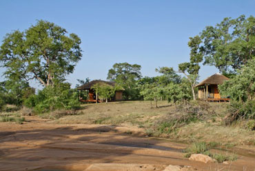 Timbavati Game Reserve Bush Camp Shindzela Tented Camp South Africa