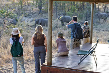 Elephant sighting tent Shindzela Tented Camp Timbavati Game Reserve Bush Camp South Africa