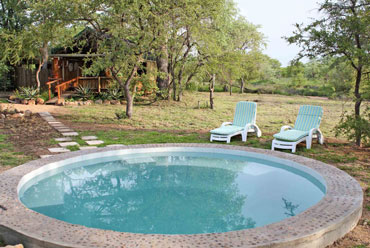 Plunge pool Shindzela Tented Camp Timbavati Game Reserve Bush Camp South Africa