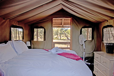 safari tent Shindzela Tented Camp Timbavati Game Reserve South Africa