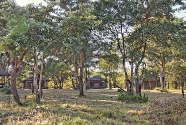 safari tents Shindzela Tented Camp Timbavati Game Reserve Bush Camp South Africa