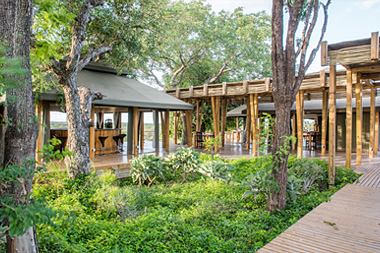 Simbavati Hilltop Lodge Big 5 Timbavati Game Reserve Luxury Safari Tents Mpumalanga Luxury South African Safari