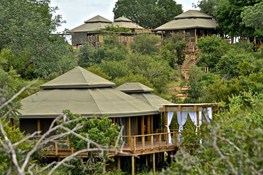 Simbavati Hilltop Lodge Big 5 Timbavati Game Reserve Luxury Safari Tents Mpumalanga Luxury South African Safari