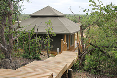 Simbavati Hilltop Lodge Big 5 Timbavati Game Reserve Luxury Safari Tents Mpumalanga Luxury South African Safari