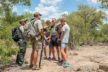 Timbavati Simbavati River Lodge Luxury Safari Tents Family Chalet Timbavati Game Reserve Mpumalanga Luxury South African