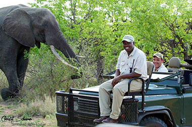 Timbavati Simbavati River Lodge Luxury Safari Tents Family Chalet Timbavati Game Reserve Mpumalanga Luxury South African