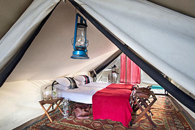 Timbavati Luxury Tented Safari Tanda Tula Field Camp Timbavati Game Reserve South Africa