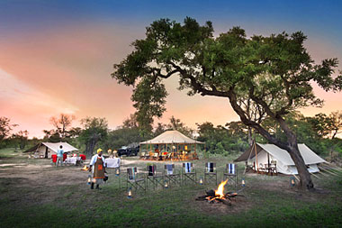 Timbavati Luxury Tented Safari Tanda Tula Field Camp Timbavati Game Reserve South Africa