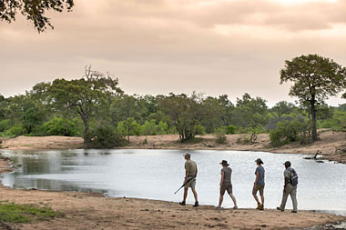 Safari Game Walks Waterhole Tanda Tula Field Camp Timbavati Game Reserve Luxury South African Safari