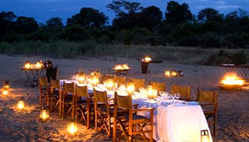 Ngala Safari Lodge Timbavati Game Reserve Accommodation Bookings Kruger National Park